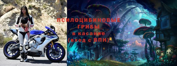 a pvp Володарск