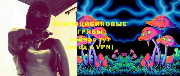 ECSTASY Вязьма